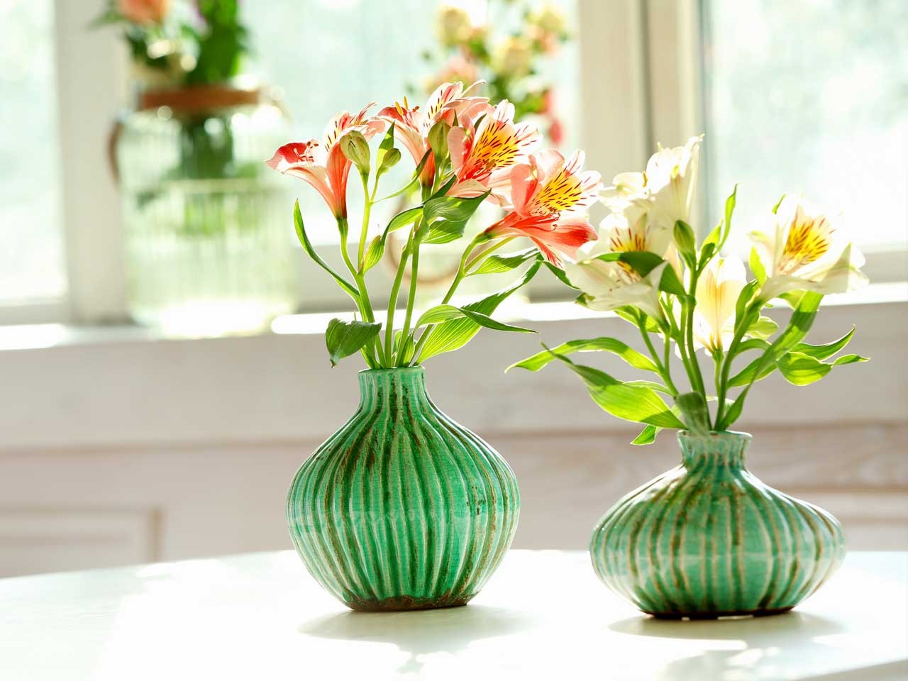 Hoa thủy tiên mang vẻ đẹp thanh lịch, tao nhã