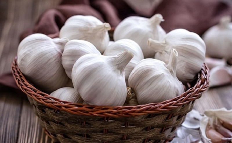 Ý nghĩa phong thủy của tỏi trong văn hóa dân gian