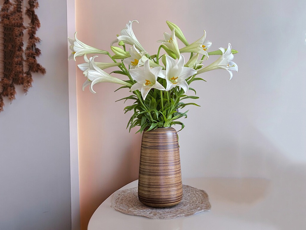 Nguồn gốc của hoa ly