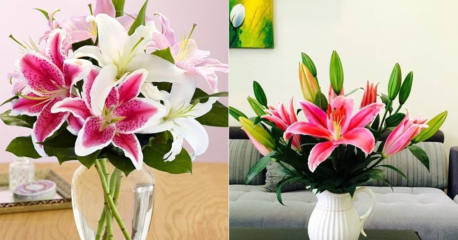 Hướng dẫn cách giữ hoa ly tươi lâu trên bàn thờ Thần Tài